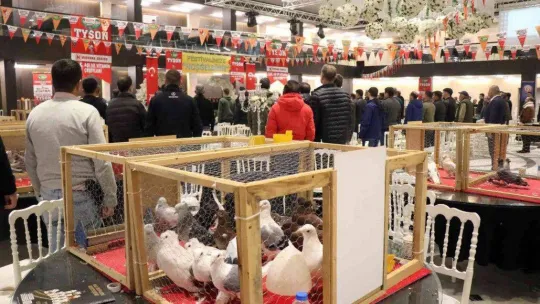 Bir milyona güvercin