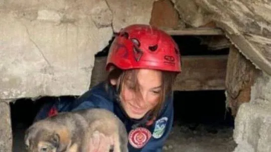 Bodrum katında mahsur kalan yavru köpekleri itfaiye kurtardı