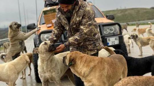 Böyle sevgi görülmedi her gün peşinden yüzlercesi koşuyor