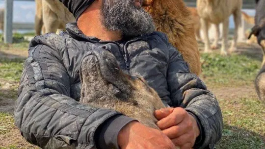 Böyle sevgi görülmedi her gün peşinden yüzlercesi koşuyor