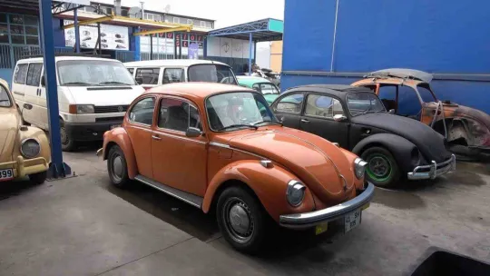 Böyle vosvos tutkusu görülmedi