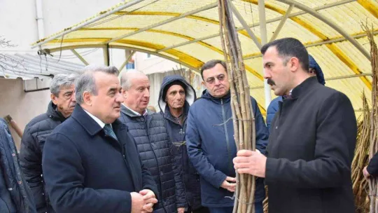 Bozüyük'te 898 adet ceviz fidanı dağıtıldı