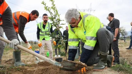 Bu bahçede 26 türden 62 çeşit meyve yetişiyor