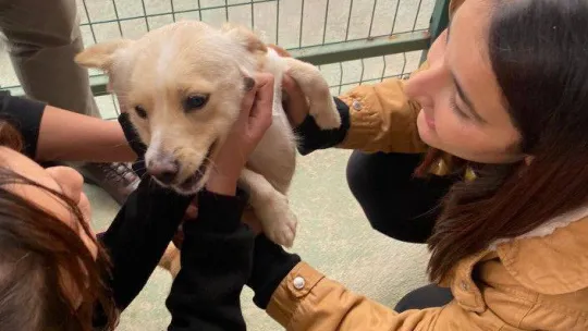 Bu merkez can dostlara 'şifa' dağıtıyor