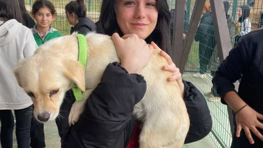 Bu merkez can dostlara 'şifa' dağıtıyor