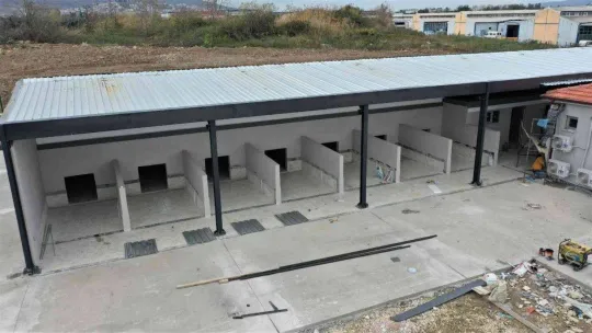 Bu merkezde hem kedi ve köpeklerin hem de kuşların yuvası olacak