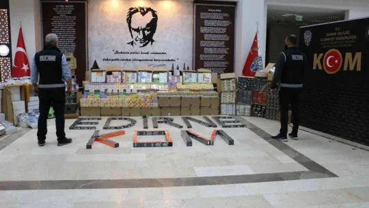 Bulgaristan'dan gelen tırda 20 milyon TL'lik gümrük kaçağı ürün ele geçirildi