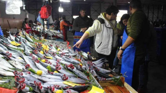 Bulgarlar bu sefer de oraya akın etti