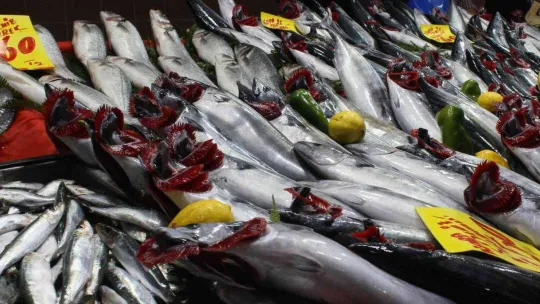 Bulgarlar bu sefer de oraya akın etti