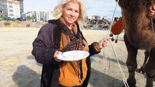 Burhaniye'de kadın güreş sever