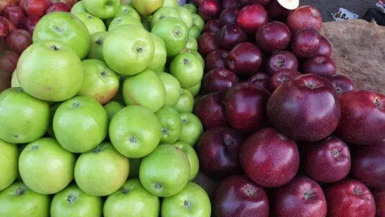 Burhaniye'de organik ürünler çiftçileri sevindirdi