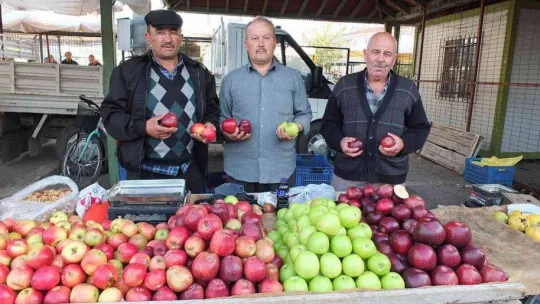 Burhaniye'de organik ürünler çiftçileri sevindirdi