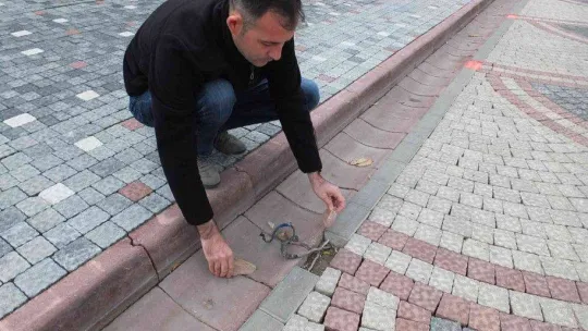 Burhaniye'de şehir magandaları yol aydınlatmalarına zarar veriyor