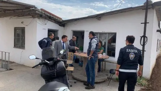 Burhaniye'de zeytin hırsızlığına karşı önlemler artırıldı