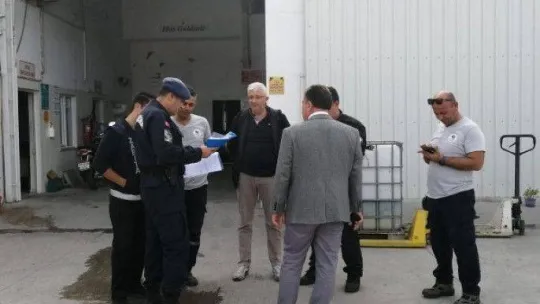 Burhaniye'de zeytin hırsızlığına karşı önlemler artırıldı