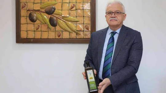 Burhaniye'de zeytinler yağa dönüşmeye başladı