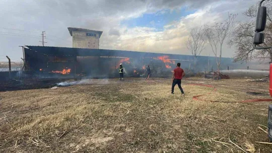 Bursa'da ahırda korkutan yangın