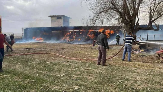 Bursa'da ahırda korkutan yangın