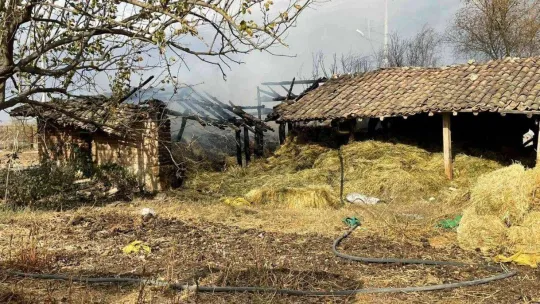 Bursa'da ahırda korkutan yangın