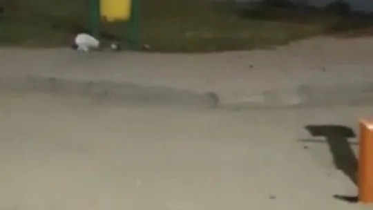 Bursa'da alev alan piknik tüpünü kovalarla su dökerek söndürdüler