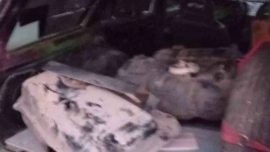 Bursa'da bağ evine dadanan hırsızlar yakayı ele verdi