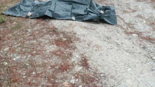 Bursa'da eğitim uçağı düştü...2 ölü