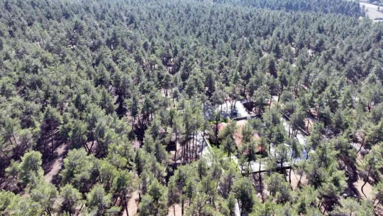 Bursa'da eko-turizm hamlesi sürüyor