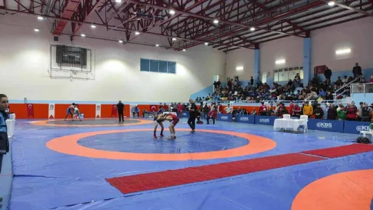 Bursa'da geleneksel Reşit Karabacak serbest güreş turnuvası yapıldı