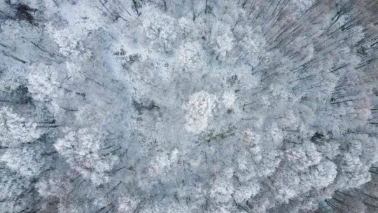 Bursa'da kar kartpostallık görüntüler oluşturdu