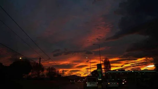 Bursa'da merak uyandıran görüntü