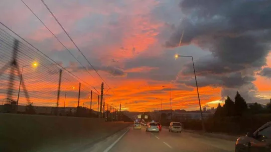 Bursa'da merak uyandıran görüntü