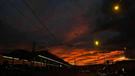 Bursa'da merak uyandıran görüntü