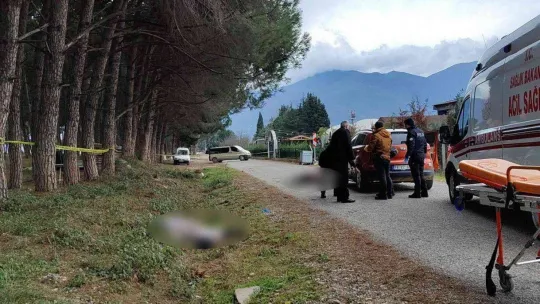 Bursa'da miras kavgasında kan aktı : 3 ölü 1 yaralı