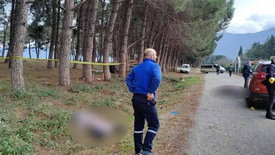 Bursa'da miras kavgasında kan aktı : 3 ölü 1 yaralı