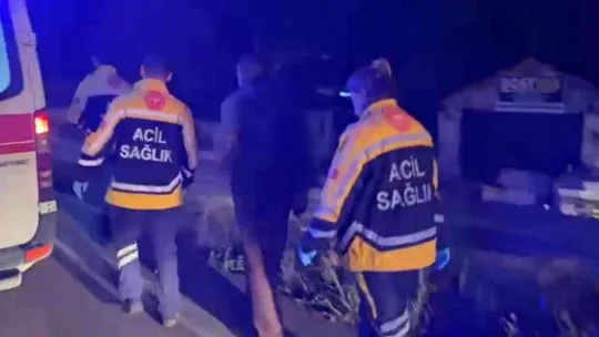 Bursa'da önünü kestikleri kamyonun şoförünü dövüp hastanelik ettiler