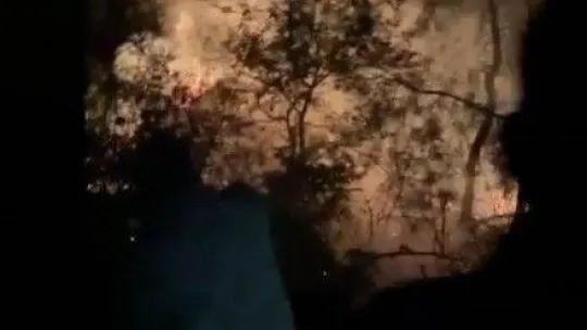 Bursa'da ormanlık alanda korkutan yangın