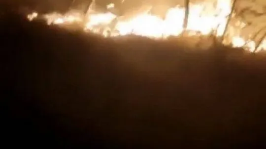 Bursa'da ormanlık alanda korkutan yangın