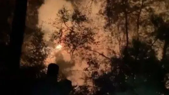 Bursa'da ormanlık alanda korkutan yangın