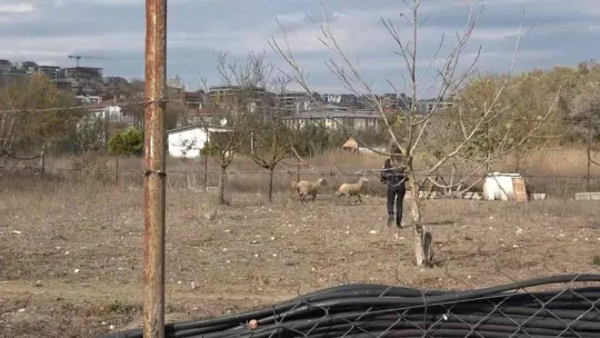 Bursa'da ormanlık alanda korkutan yangın havadan görüntülendi