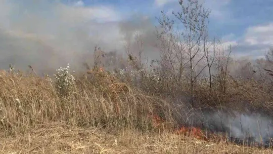 Bursa'da ormanlık alanda korkutan yangın havadan görüntülendi