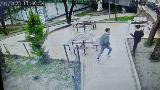 Bursa'da parktaki kedi kulübelerini yakıp, çöp kutularına zarar verdiler