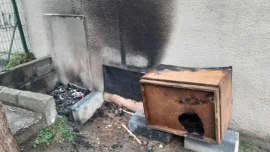 Bursa'da parktaki kedi kulübelerini yakıp, çöp kutularına zarar verdiler