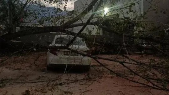 Bursa'da şiddetli lodos hayatı felç etti, ağaçlar araçların üzerine devrildi