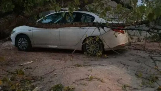 Bursa'da şiddetli lodos hayatı felç etti, ağaçlar araçların üzerine devrildi