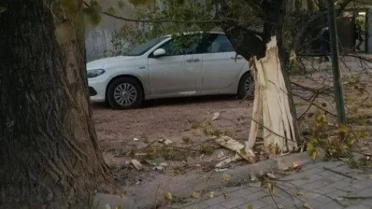 Bursa'da şiddetli lodos hayatı felç etti, ağaçlar araçların üzerine devrildi