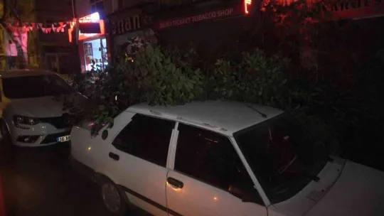 Bursa'da şiddetli lodosun etkisiyle kırılan ağaç, park halindeki otomobilin üzerine düştü
