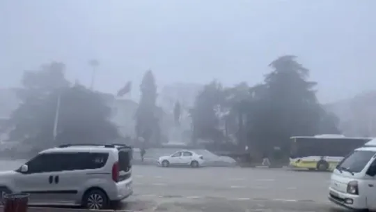 Bursa'da sis etkili oldu