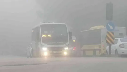 Bursa'da sisin etkisi devam ediyor