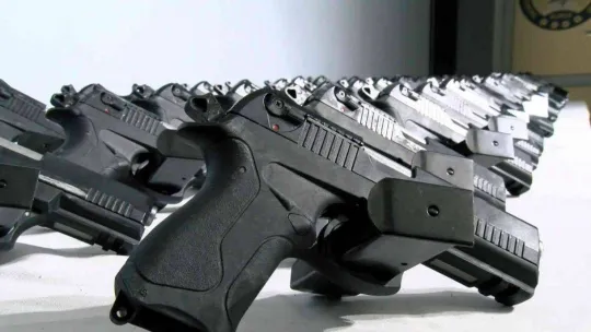 Bursa'yı kana bulayacaklardı, polis önledi