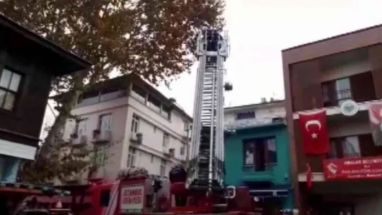 Büyükada'da, ağaçta dallar arasında sıkışarak mahsur kalan martı kurtarıldı